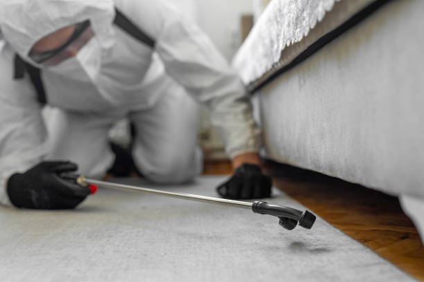 Professional Pest Control technician working in Rice, MN