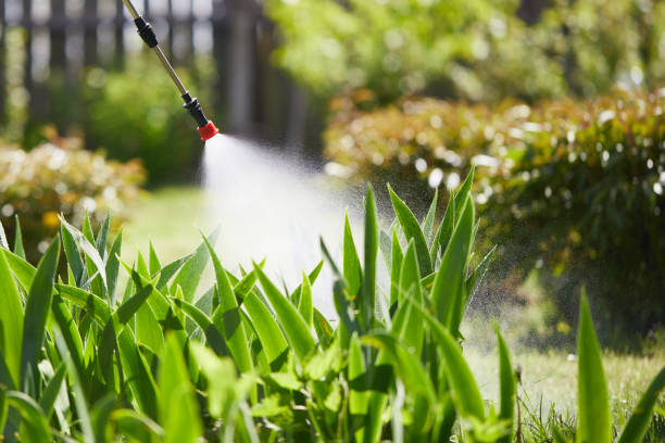24/7 Emergency Pest Control experts in Rice, MN