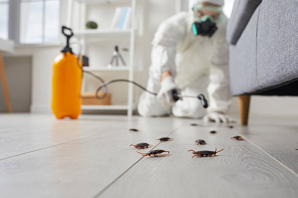 Affordable Pest Control solutions in Rice, MN